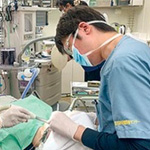 歯医者さんへの上手なかかり方